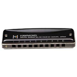 ������ 10��ϡ���˥���HA-20 HAMMOND
