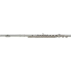 ��ޥ� �ե롼�� YFL-684