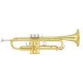 ��ޥ� �ȥ��ڥå� YTR-6310Z