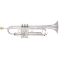��ޥ� �ȥ��ڥå� YTR-8335RGS